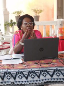 L’experte en genre et médiation et présidente de l’ONG Malachie Pépecy Ogouliguendé durant son exposé  © Com ONG Malachie
