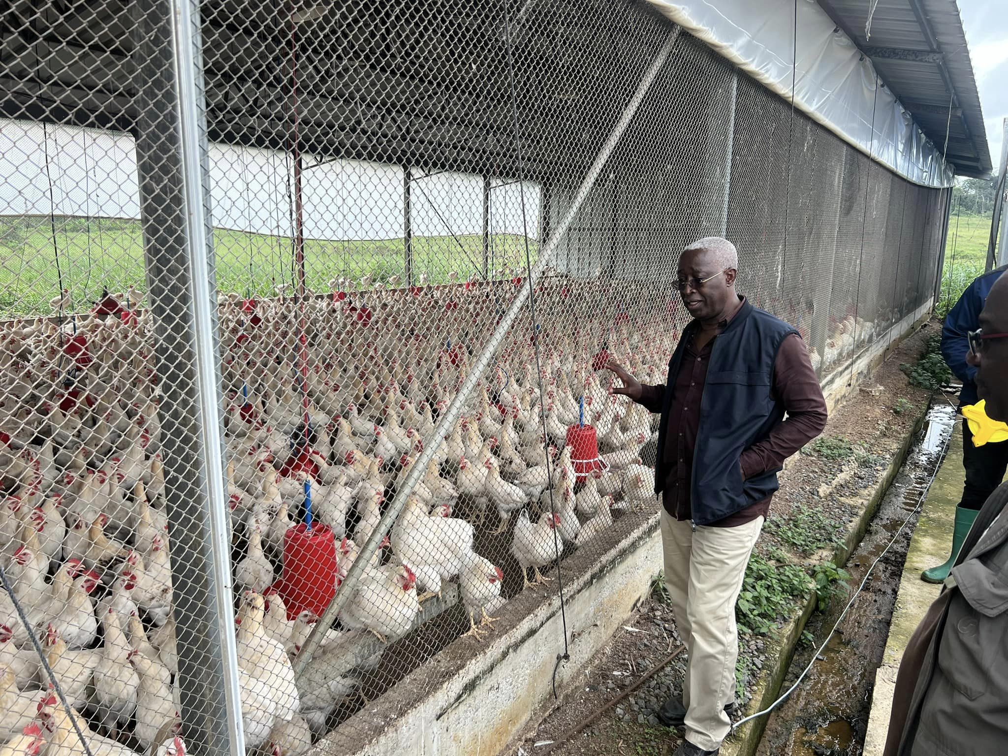 AGROPAG Ntoum / Gabonactu.com