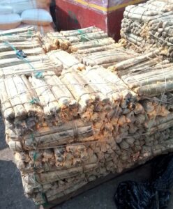 Une vue de la cargaison de manioc ayant subi l’avarie dans le bateau marchandise de la CNNII©  Gabonactu.com