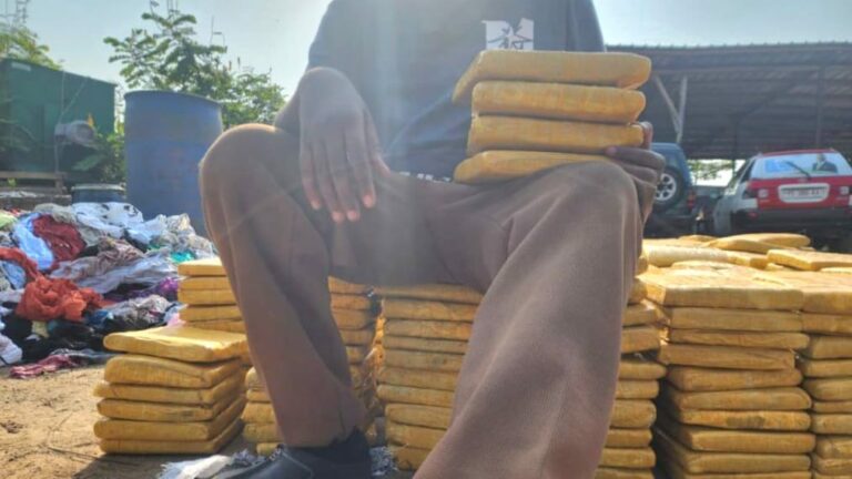 Une partie des quantités de drogue Skunk SK saisies / Gabonactu.com
