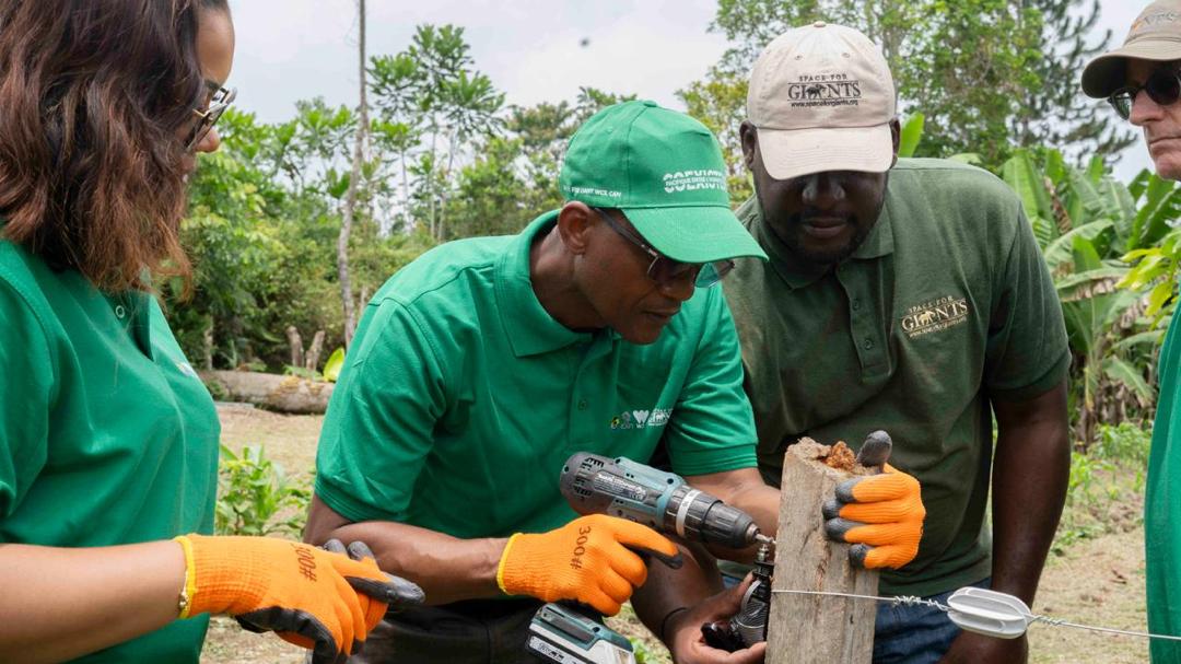 Conflit homme-faune : Une nouvelle clôture électrique contre les éléphants ravageurs