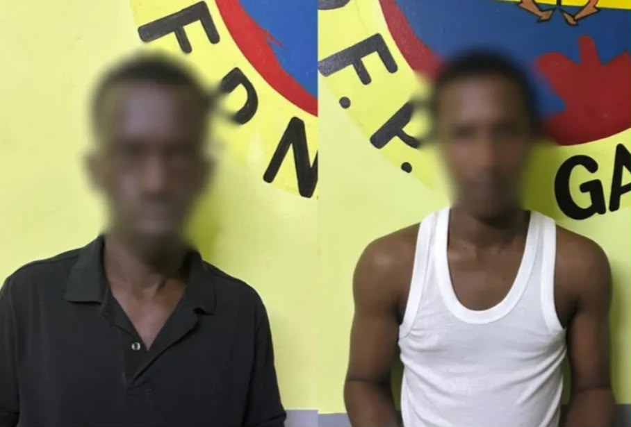 Franceville : 44 gélules de Tramadol saisies, deux suspects en prison -