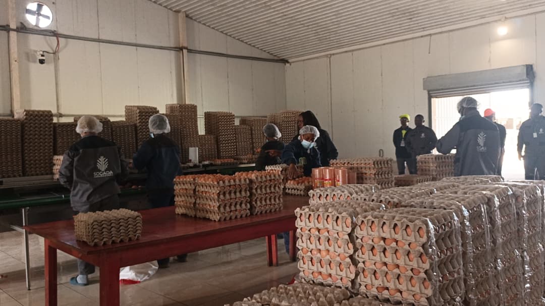 Elevage : L'ambassadeur d'Angola visite la ferme avicole de la SOGADA -